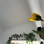 The Peppers Garden *