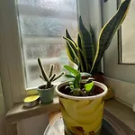 Holiday home The Peppers Garden Bari