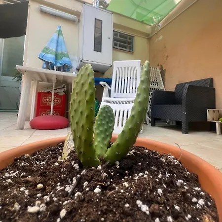 The Peppers Garden Holiday home *