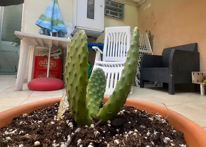 The Peppers Garden בית נופש *
